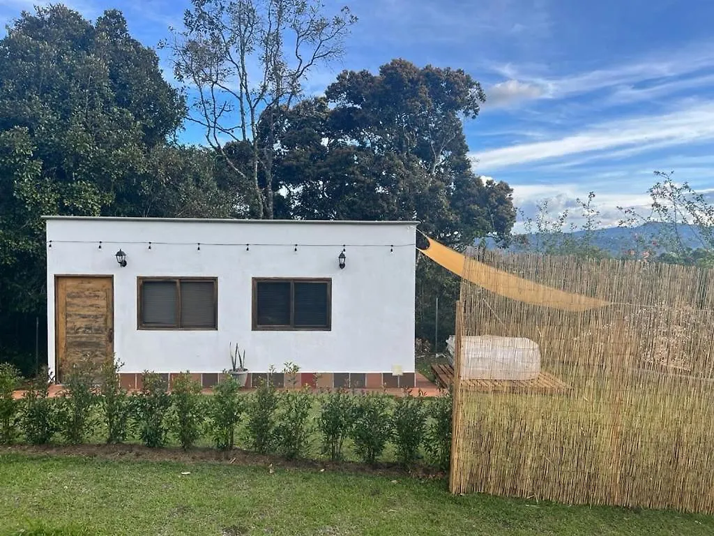 Ohana Medellín